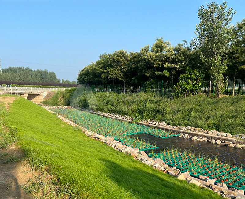 河道水質提升 2.jpg